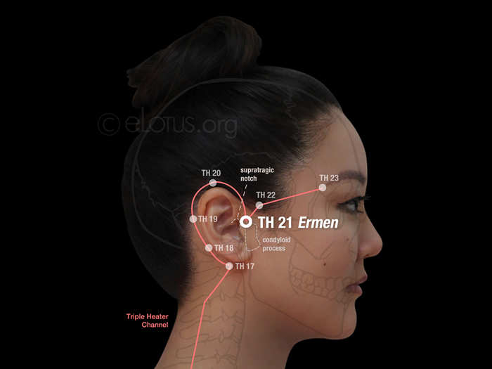 Ermen (TH 21) | Master Tung's Acupuncture | eLotus CORE